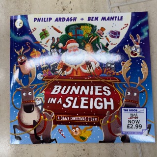 Bunnies in a Sleigh childrens book