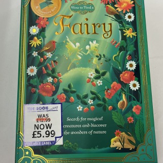 How To Find a Fairy book and box