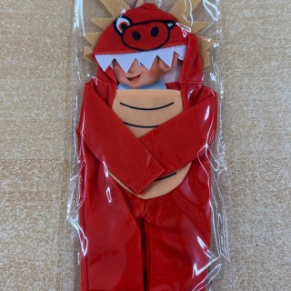 Elf Costume - Dragon