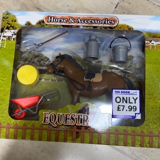 Horse and accessories