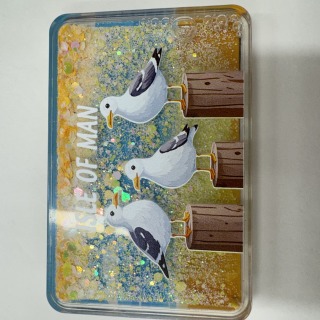 Seagull Fridge Magnet with Sand/Glitter