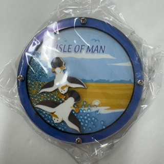 Fridge Magnet moving seagull