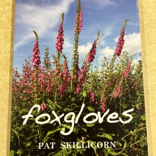Foxgloves by Pat Skillicorn