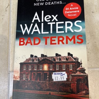 Alex Walters - Bad Terms