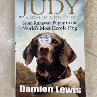 Damien Lewis - Judy A Dog in a Million
