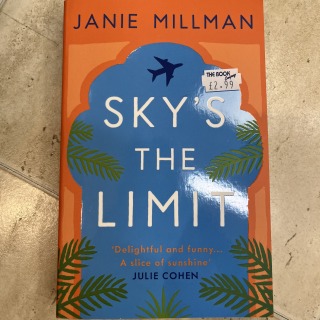 Janie Millman - Sky's the Limit