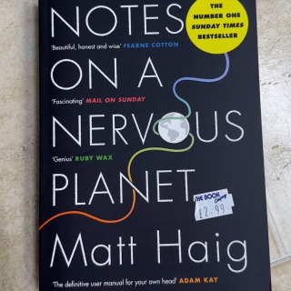 Matt Haig - Notes on a Nervous Planet
