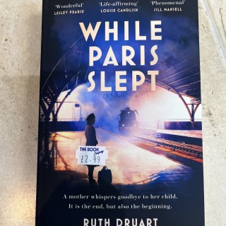 Ruth Druart - While Paris Slept
