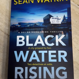 Sean Watkin - Black Water Rising