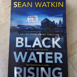 Sean Watkin - Black Water Rising