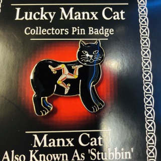 Cat pin badge