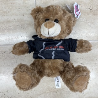 Teddy Bear with TT course jumper