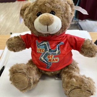 Teddy Bear with 3 leg design jumper