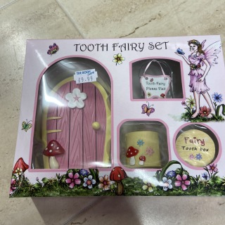 Fairy Garden Tooth fairy set